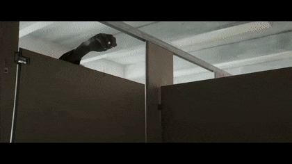 NecessarySnivelingHoopoe-max-1mb